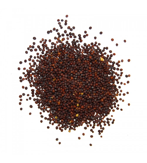 Brown Mustard By Pansari Online, سرسوں زرد