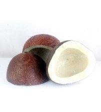 Dry Coconut 