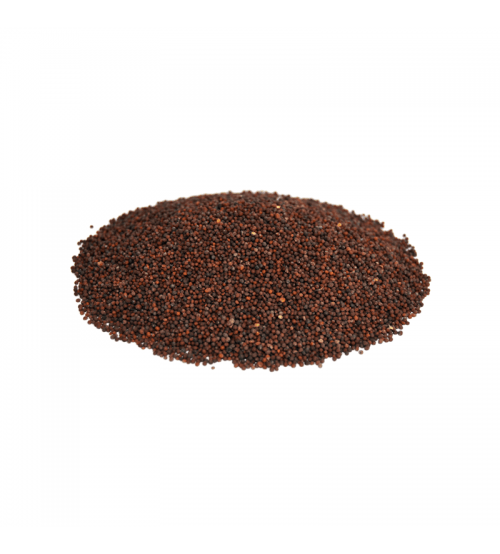 black-mustard-seeds