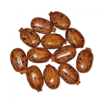 Castor-Bean-Tukhm-E-Arandi