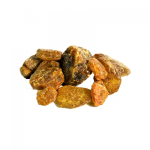 Dried-Cheer-Pine