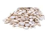 Pumpkin-Seeds-Without-Shells