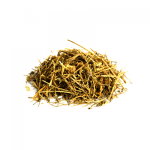 Spleenwort