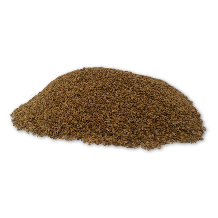 carom-seeds-ajwain