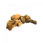 china-root