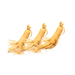 ginseng-herb