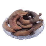 kakra-singi