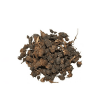 sweet-cyperus