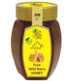 pure-bairy-bee