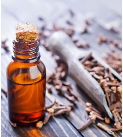 pure-clove-infused-oil