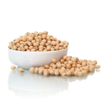 Soya beans Benefits