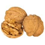 walnut