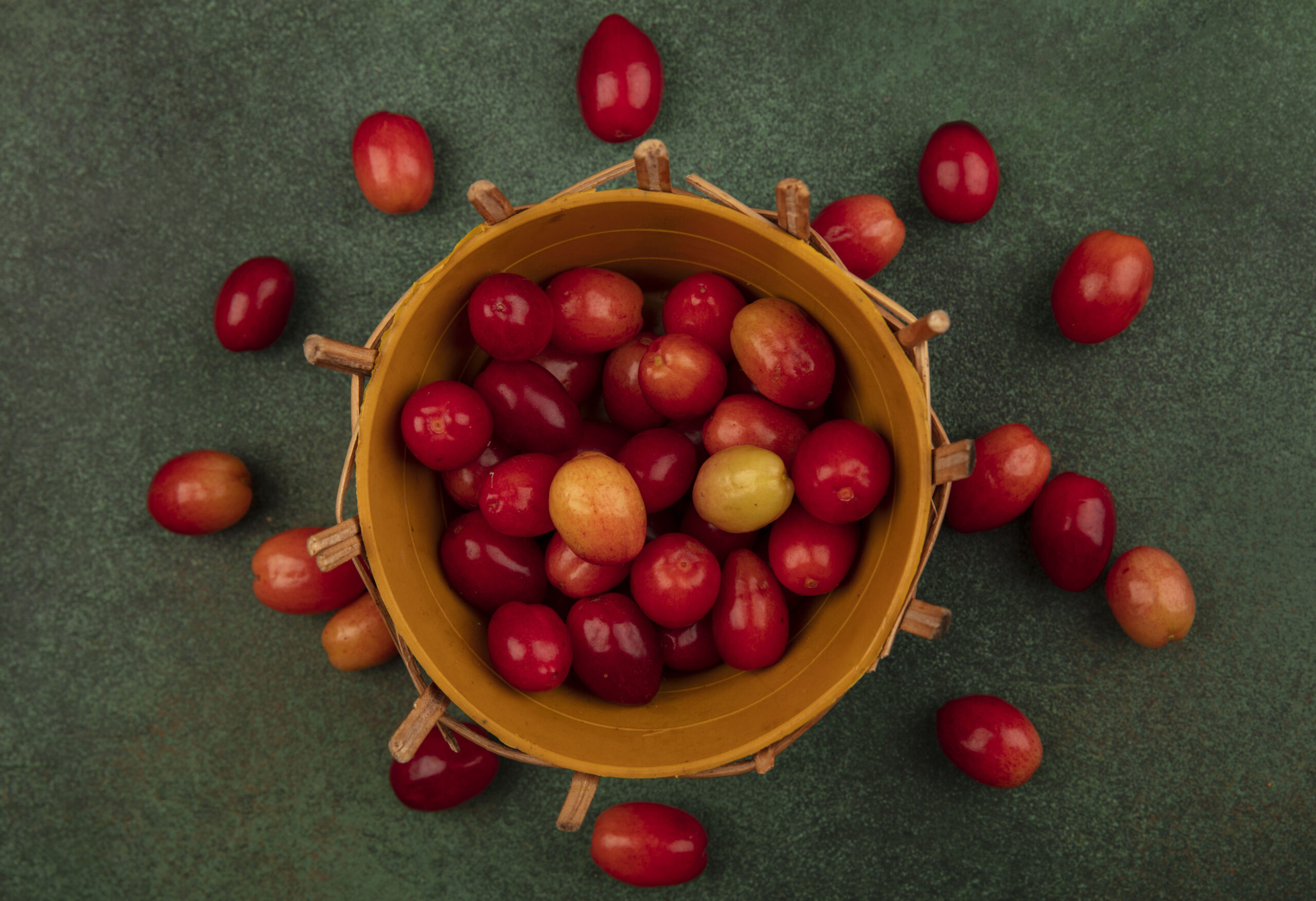 unaab fruit