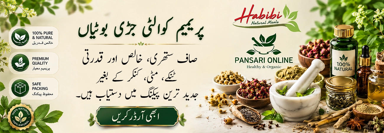 pansrionline banner main