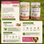 PCOS Seed Cycling Kit luteal phase