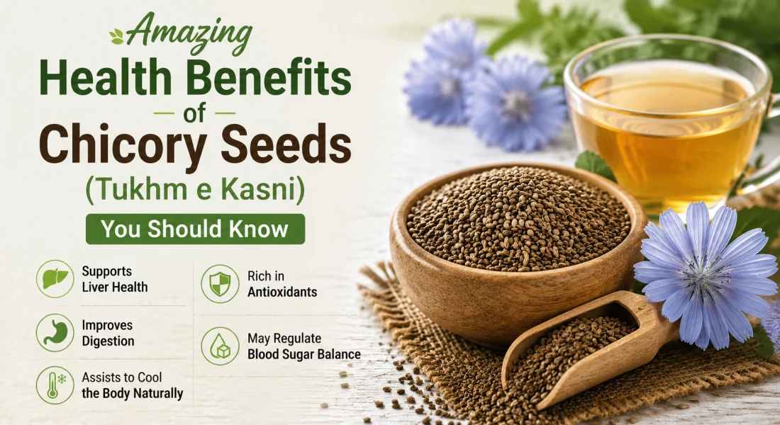 Amazing Health Benefits of Chicory Seeds (Tukhm e Kasni) You Should Know