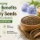 Amazing Health Benefits of Chicory Seeds (Tukhm e Kasni) You Should Know