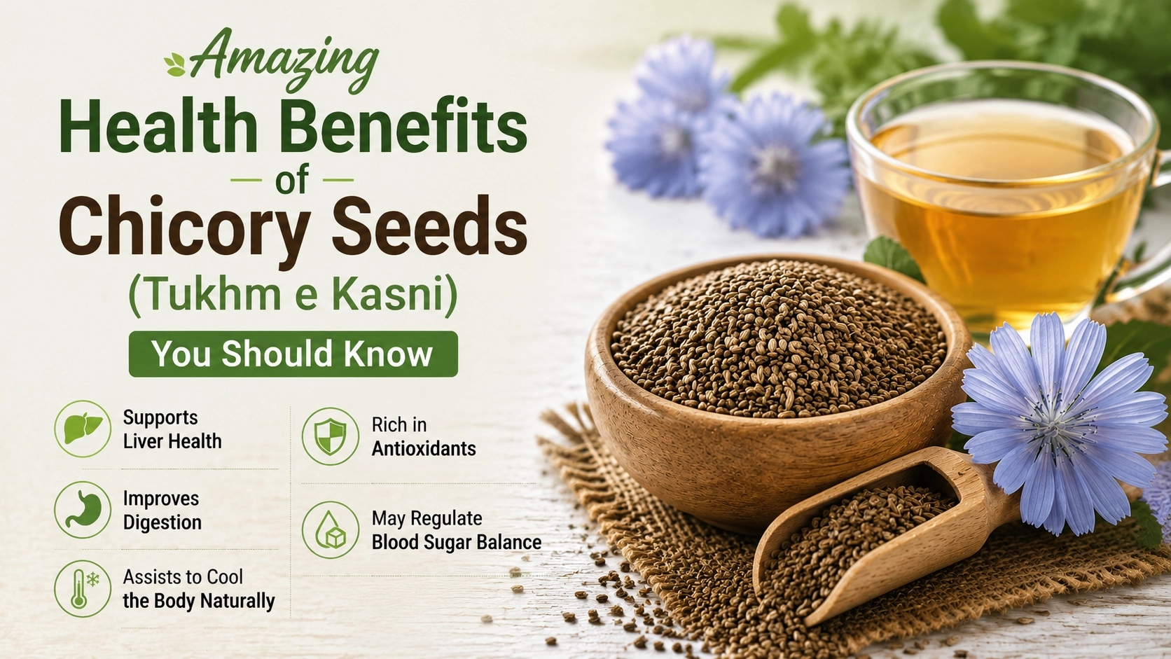 Amazing Health Benefits of Chicory Seeds (Tukhm e Kasni) You Should Know