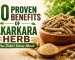 Akarkara Benefits: 10 Uses of This Powerful Herb