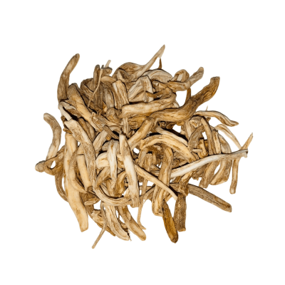 Musli Safaid Pakistani