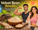 Velvet bean