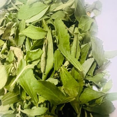 Stevia Leaves